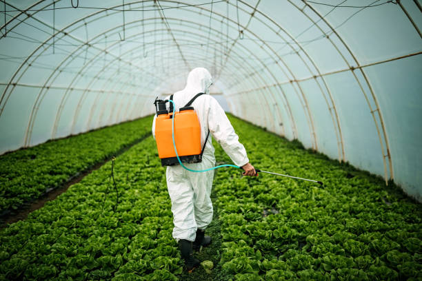 Best Local Pest Control Services  in Palm City, FL