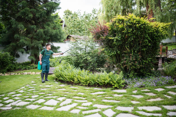 Wasp Removal Services in Palm City, FL