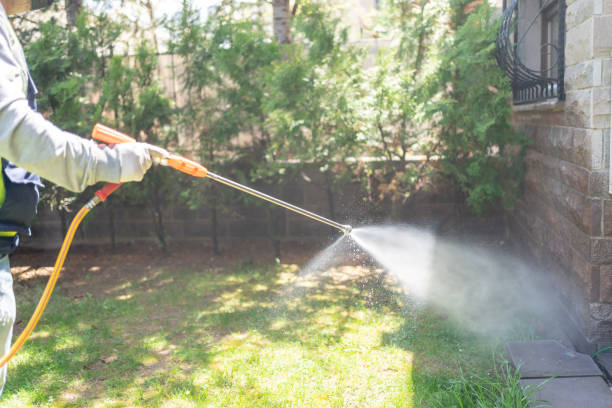Best Residential Pest Control  in Palm City, FL