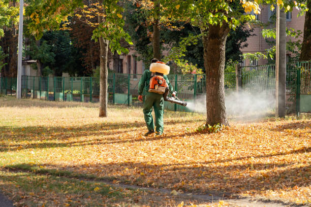 Best Wildlife Control Services  in Palm City, FL