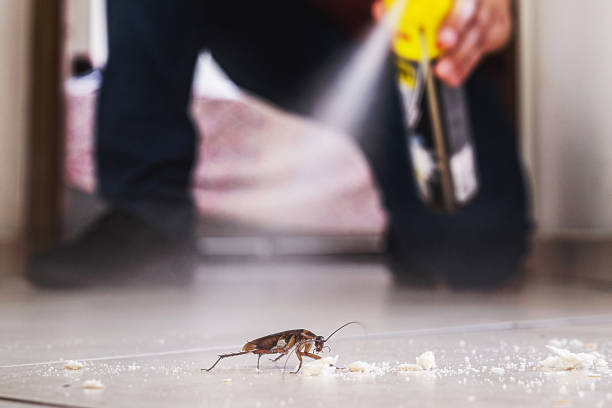 Best Commercial Pest Control Services  in Palm City, FL