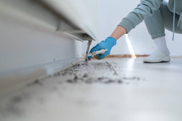 Best Best Pest Control Companies  in Palm City, FL